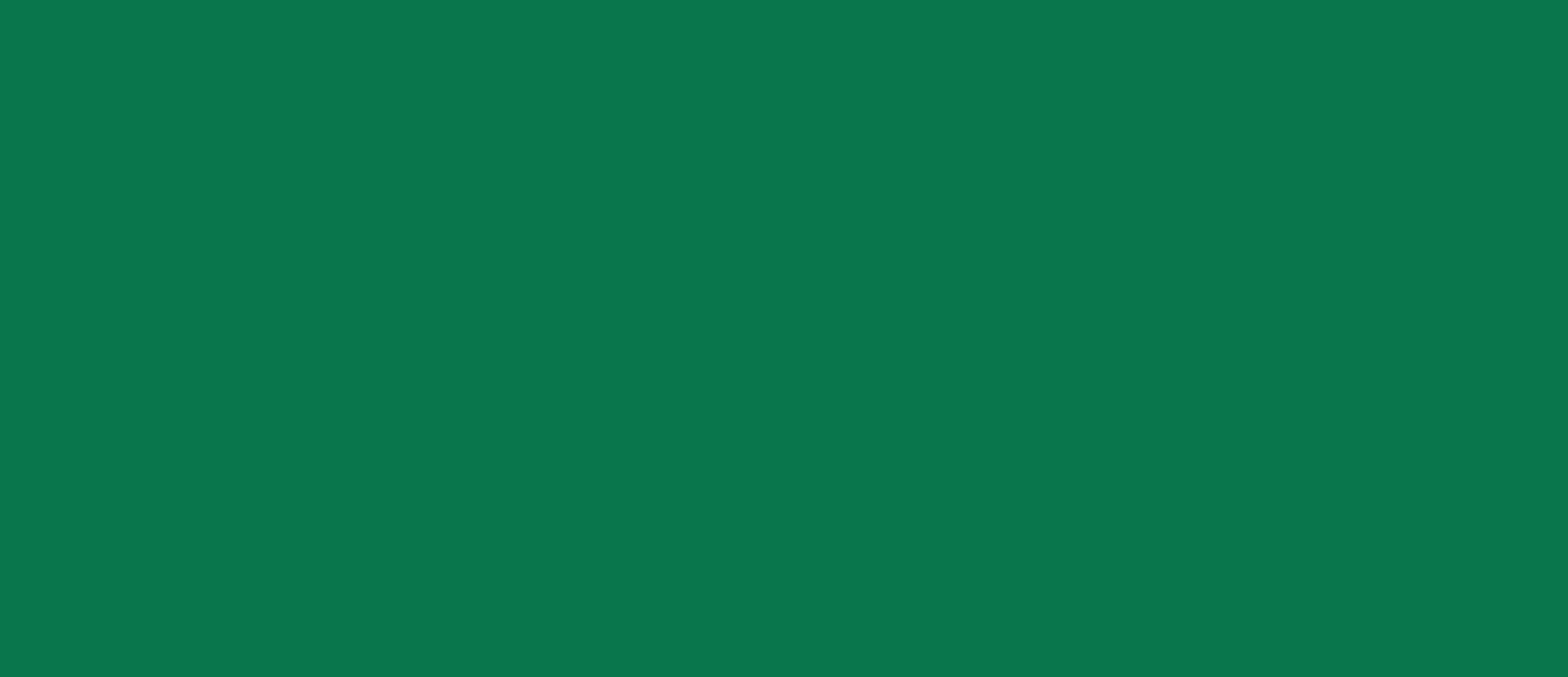 Sporting Campeão